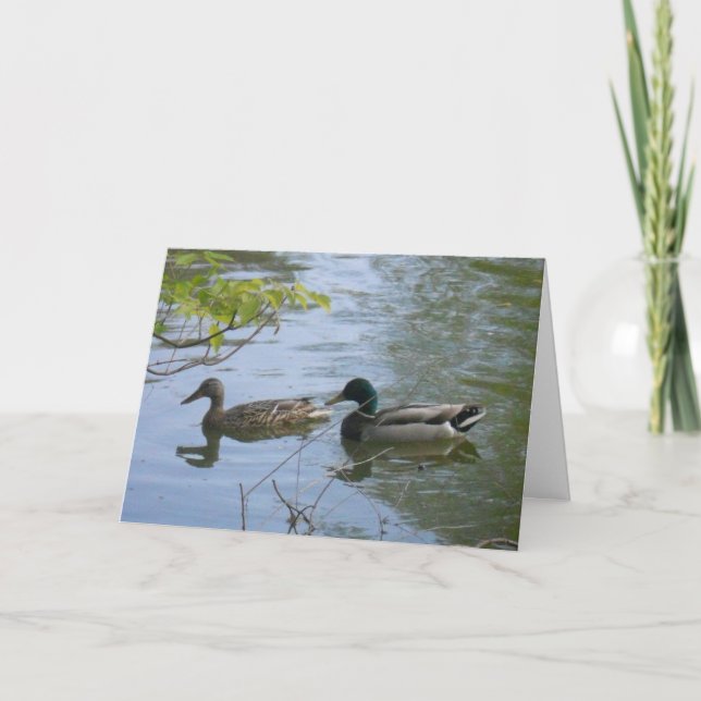 "Hyland May Mallards #2" - tackkort Kort (Framsida)
