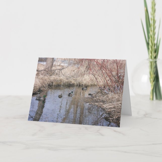 "Hyland Sjö Anka #3" - tackkort Kort (Framsida)