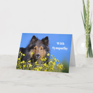 Hylla Blommigt Fotosympati Kort