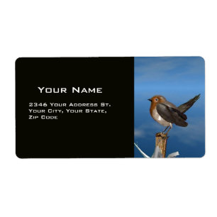 HYPER FÅGLAR/ ROBIN RED BREAST FRAKTSEDEL