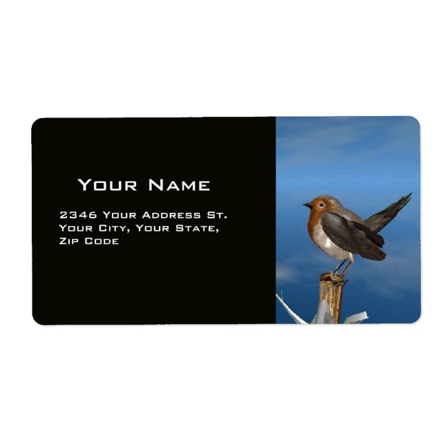 HYPER FÅGLAR/ ROBIN RED BREAST FRAKTSEDEL (Framsidan)