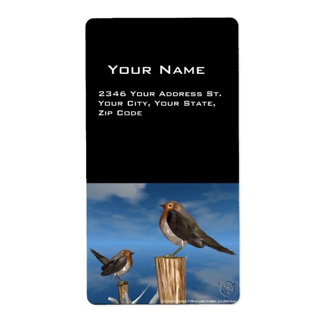 HYPER FÅGLAR/ ROBIN RED BREAST FRAKTSEDEL (Framsidan)