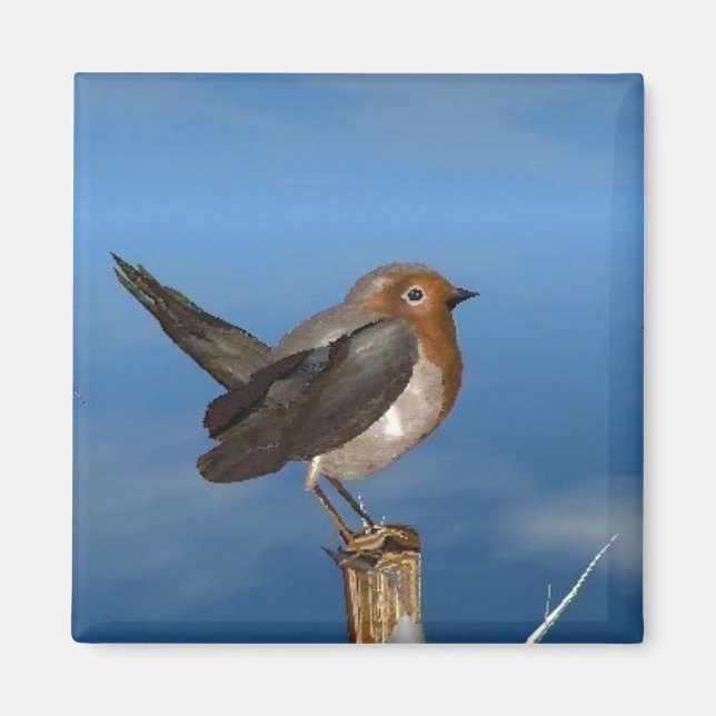 HYPER FÅGLAR/ ROBIN RED BREAST MAGNET (Framsidan)