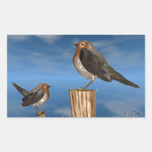 HYPER FÅGLAR/ ROBIN RED BREAST REKTANGULÄRT KLISTERMÄRKE
