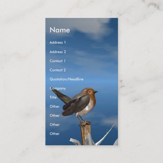 HYPER FÅGLAR/ ROBIN RED BREAST VISITKORT (Framsida)