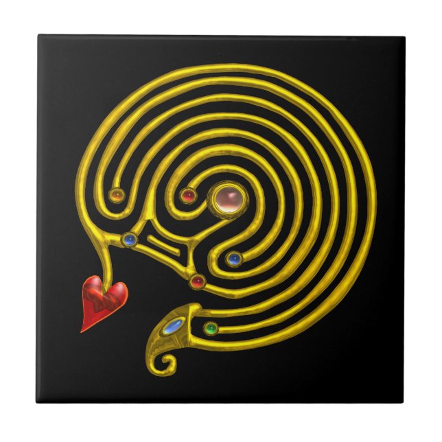 HYPER LABYRINTH,Svart Kakelplatta (Framsidan)