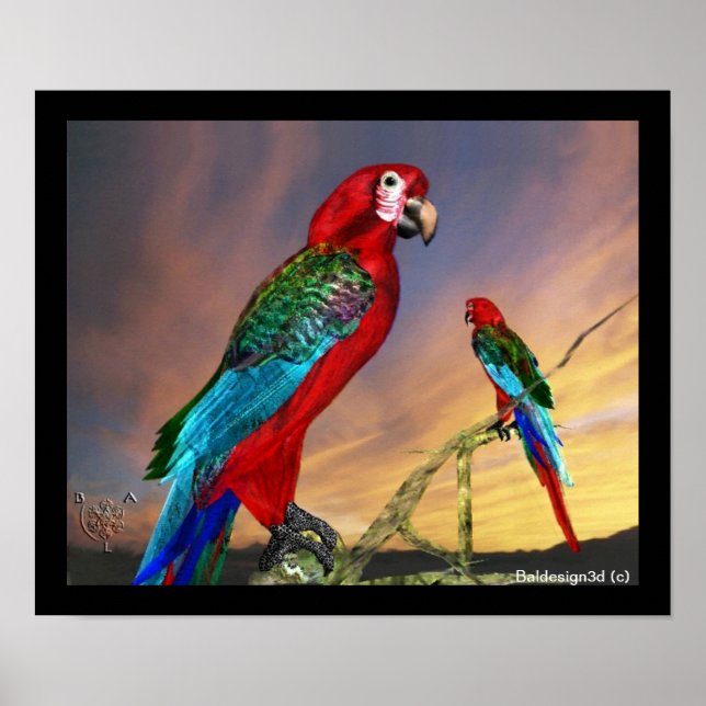 HYPER PAPEGOJOR / RÖD ARA POSTER (Framsidan)