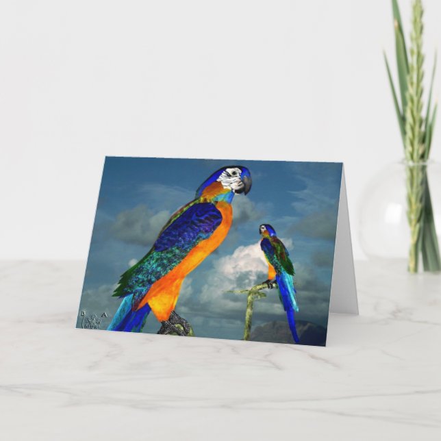 HYPER PARROS/BLUE ARA KORT (Framsida)