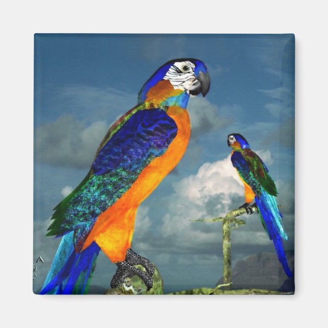HYPER PARROS/BLUE ARA MAGNET (Framsidan)