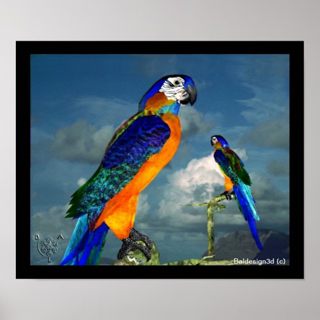 HYPER PARROS/BLUE ARA POSTER (Framsidan)