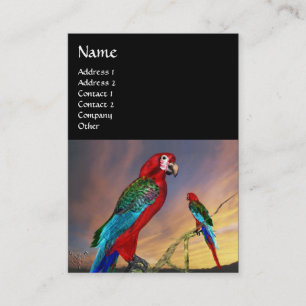 HYPER PARROTS/RED ARA,black Visitkort