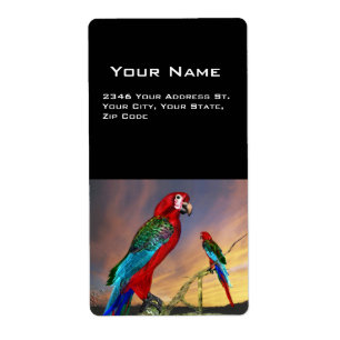 HYPER PARROTS/RED ARA FRAKTSEDEL