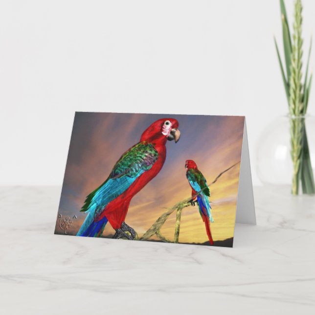 HYPER PARROTS/RED ARA KORT (Framsida)