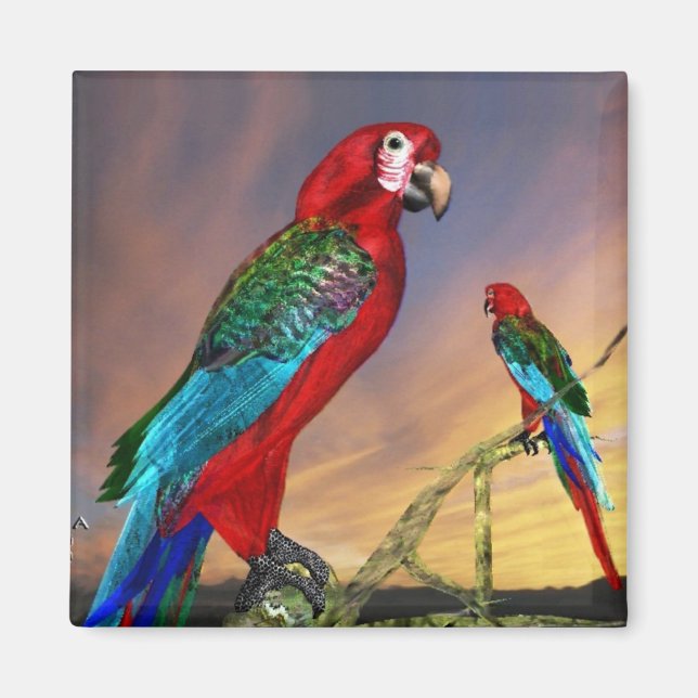 HYPER PARROTS/RED ARA MAGNET (Framsidan)