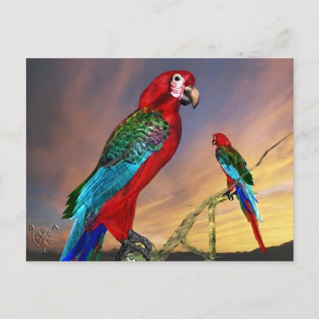 HYPER PARROTS/RED ARA VYKORT (Framsida)