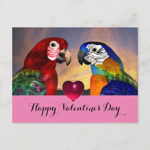 HYPER PARROTS,RED BLUE MACAWS Valentine Day Kärlek Helg Vykort