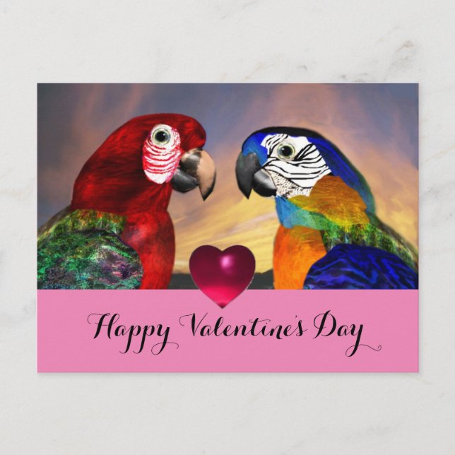 HYPER PARROTS,RED BLUE MACAWS Valentine Day Kärlek Helg Vykort (Framsida)
