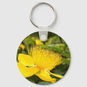Hypericum Calcyinum-Nyckelring Nyckelring