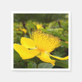 Hypericum Calcyinum Pappra blöjor Pappersservett