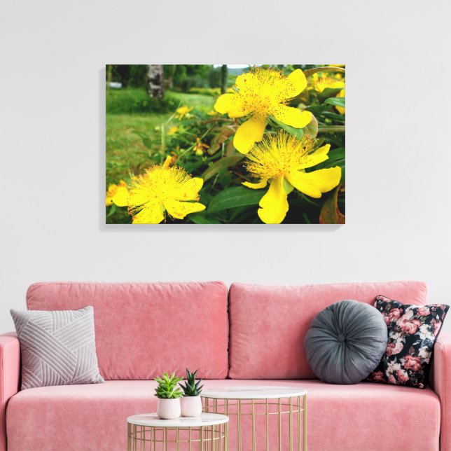 Hypericum calycinum canvastryck (Insitu (Vardagsrum))