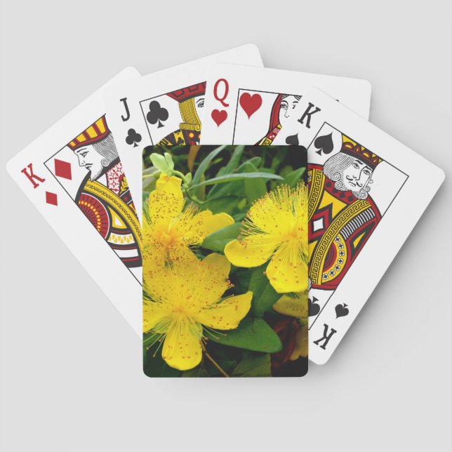 Hypericum calycinum casinokort (Baksidan)