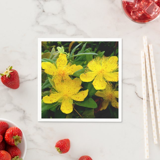 Hypericum calycinum Papper Napkins Pappersservett (Insitu)