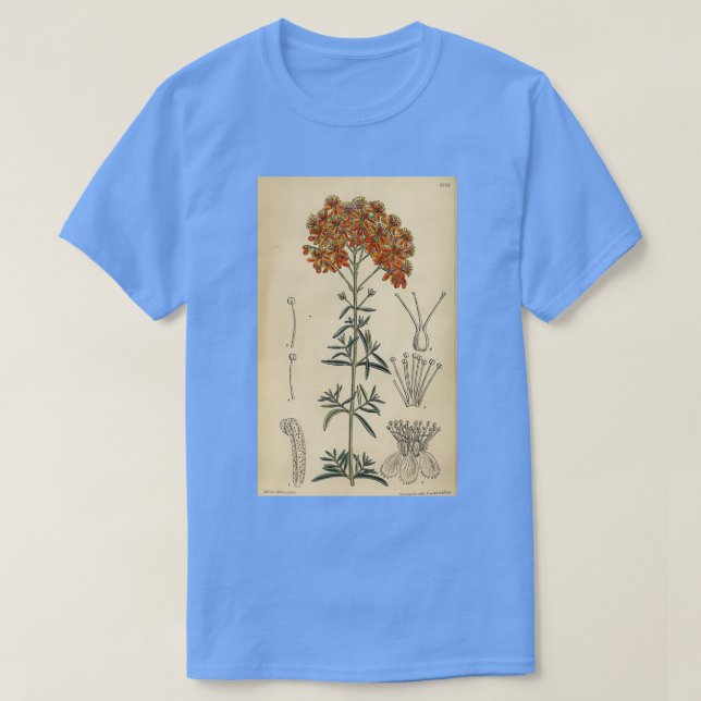 Hypericum laeve rubrum 144 8773 t shirt (Design framsida)