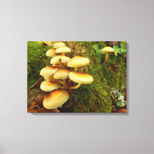 Hypholoma fasciculare Mushroom Kanvastryck