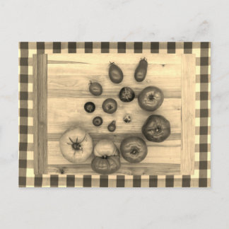 Hypnotic Heirloom Tomatis - Vykort