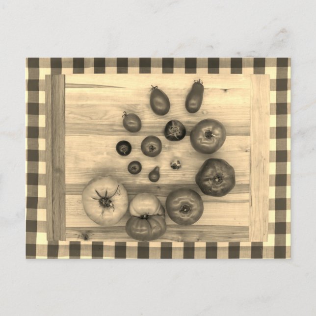 Hypnotic Heirloom Tomatis - Vykort (Framsida)