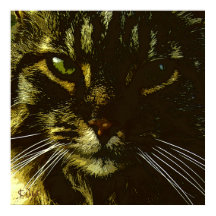HypNotification Cat Digital Art Hypnosis