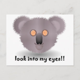 hypnotisk koala vykort