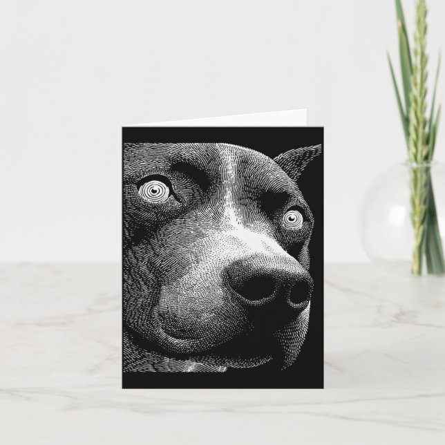 Hypnotisk Pit Bull Konstiga Ögon Weirdcore Kuslig Kort (Framsida)