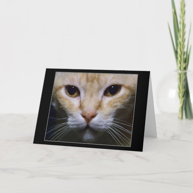 "Hypnotiskt ", Kort (Framsida)