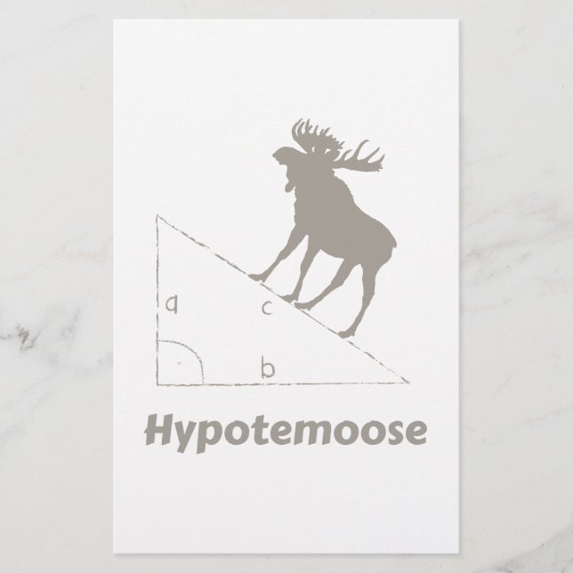 Hypotemoose Math Geek (Framsida)
