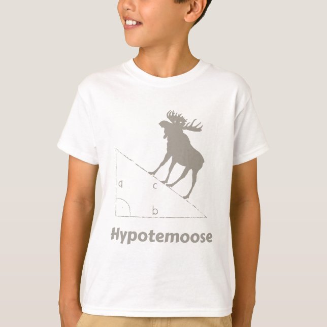 Hypotemoose Math Geek T Shirt (Framsida)