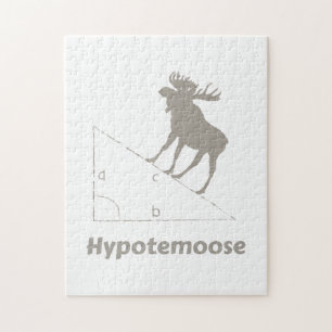 Hypotemoose MathGeek Pussel