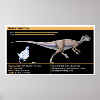 Hypsilophodon - Biology Jurassic Dinosaur Poster