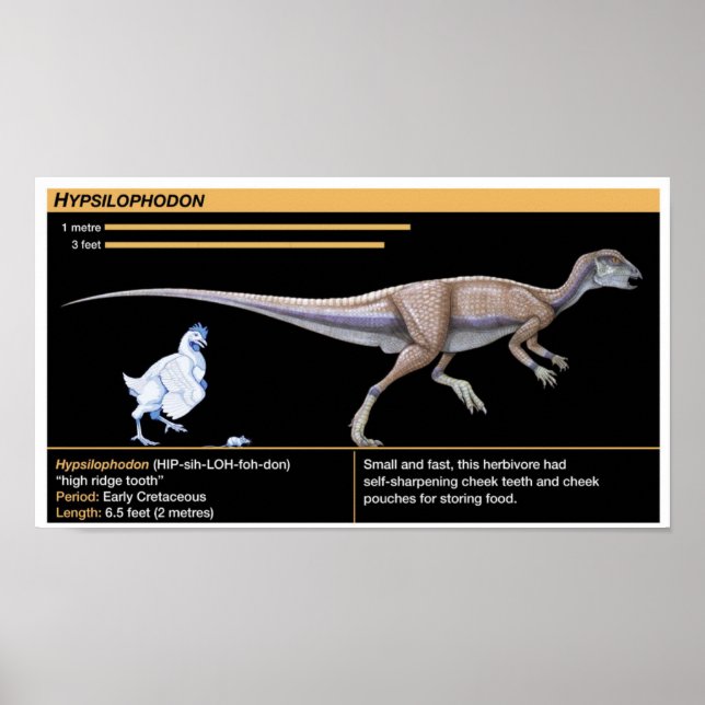 Hypsilophodon - Biology Jurassic Dinosaur Poster (Framsidan)