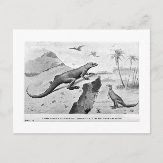 Hypsilophodon-vykort Vykort (Framsida)