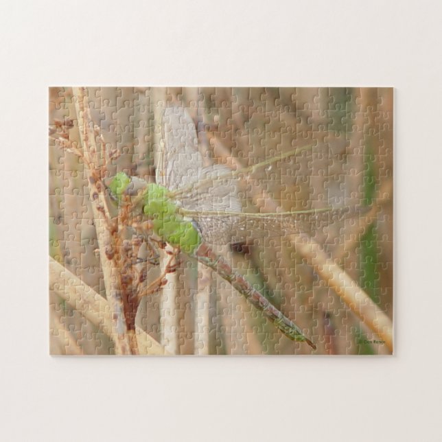 I1 Grönt Dragonfly Pussel (Horisontell)