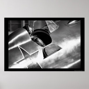 I-16 Rata Poster