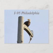 I-95 vykort för Philadelphia Örn
