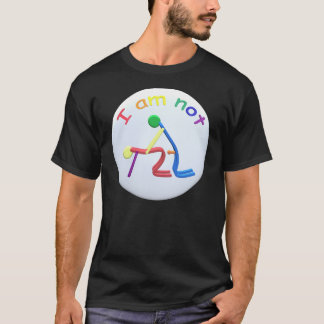 I am gay tee shirt