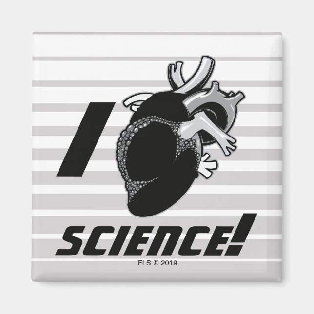 I (Anatomical Heart) Science Magnet (Framsidan)