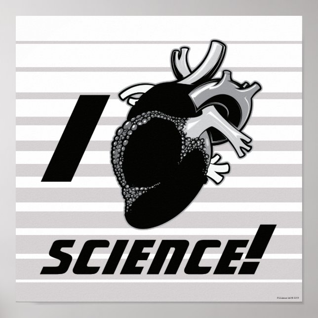 I (Anatomical Heart) Science Poster (Framsidan)