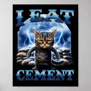 I Ät Cement Cursed Cat Funny Odely Specific Memor Poster