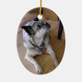 I att älska minnet (chien) julgransprydnad keramik