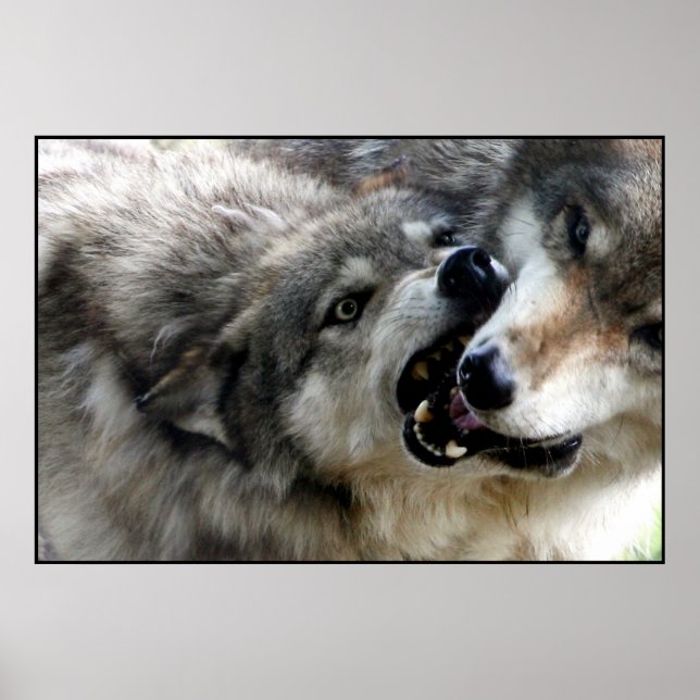 I BITA POSTER (Framsidan)