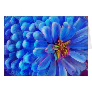 I blått blommar Zinniakortet, Hälsningskort